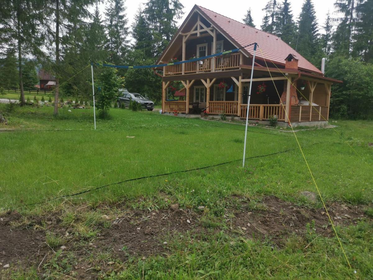 Cabana Katica Vendeghaz Borzont Exteriör bild